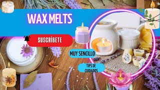 cómo hacer aromatizantes Wax melts pastillas aromáticas cera de soja [upl. by Shelagh]