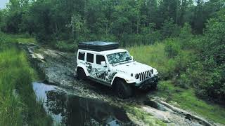 Tiger Bay State Forest Jeep Trail Ride Drone Footage [upl. by Welcher]