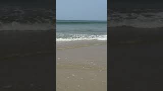 Varca beach Goa  oct24 goa goabeach travel varcabeach india beach youtubeshorts varca [upl. by Mou]