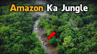 Most Dangerous Animals Of Amazon Rainforest  Strange Facts About Amazon Rainforest HindiUrdu [upl. by Eirok]