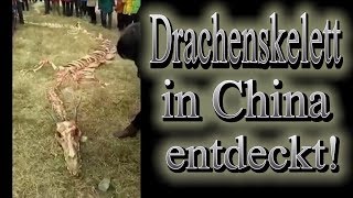 Hoax  Drachenskelett in China entdeckt [upl. by Amled]