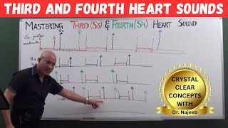 Mastering S3 and S4  Learn Third and Fourth Heart Sounds🫀 [upl. by Kumler711]