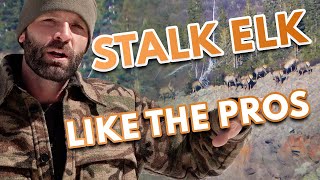 Stalking Elk – Elk Hunting Tips and Strategies [upl. by Marelya420]