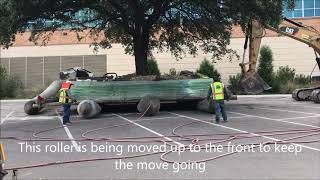 Moving a Large Oak Tree Root Ball And All [upl. by Meyeroff]