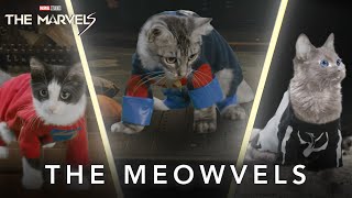 The Meowvels  Now Playing In Theaters [upl. by Madella]