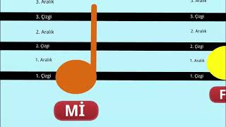 Notaların dizek üzerindeki yerleri [upl. by May]