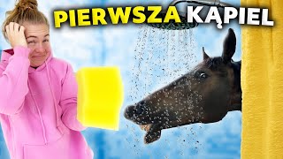 PIERWSZA KĄPIEL PRIMY  Wielkie SPA wszystkich koni 😍 [upl. by Feinleib245]