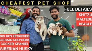 BEST QUALITY DOGS SHOP HYD 🐕 FULL DETAILS  BREEDMAINTAINENCEPRICES [upl. by Bonnes]