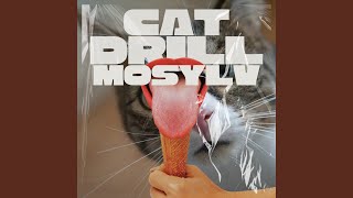 Cat Drill [upl. by Ayam]