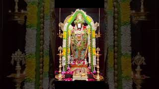 Lord venkateswara devotional WhatsApp status short video songs please subscribe for more updates [upl. by Yssor]