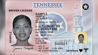 New Tennessee license transfer rules to take effect in January [upl. by Llezom543]