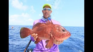 Awesome trip Offshore Fishing in Quepos Costa Rica [upl. by Faubert318]