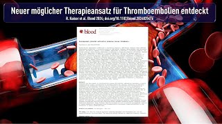 Neuer möglicher Therapieansatz für Thromboembolien entdeckt [upl. by Noevart]