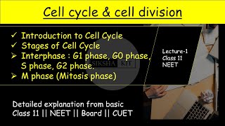 Cell Cycle amp Cell Division ✅ Introduction and stages of cell cycle  class11biology neet A005 [upl. by Chris]