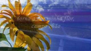 Ana Moura Flor de Lua [upl. by Mala]