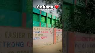 APPNA GOHANA ❤️   aniketgohanahr11  gohana viralvideo shorts [upl. by Kcireddor]