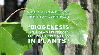 Webinars in Polyphenols Research quotBiogenesis and biosynthesis of polyphenols in plantsquot [upl. by Atnaloj]