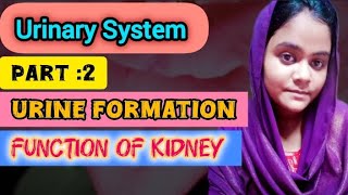 urine formation 😱  function of kidney part of nephron must watch ☑️✅studymotivation [upl. by Dario]