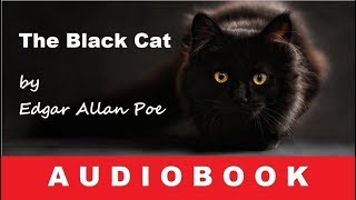 The Black Cat by Edgar Allan Poe  Audiobook [upl. by Lenci885]