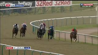 Racehorse shows incredible burst of speed [upl. by Carbone]