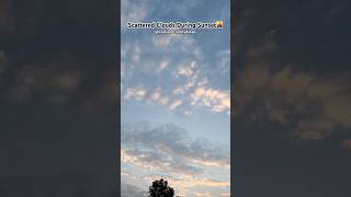 SCATTERED CLOUDS clouds sunset bengaluru skyline nature scattered youtubeshorts shortsviral [upl. by Alrep]