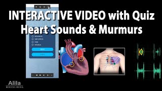 NEW INTERACTIVE Animation Heart Sounds and Heart Murmurs [upl. by Arednaxela]