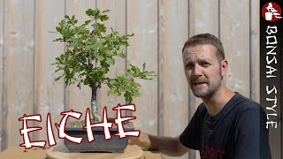 Meine Eiche von Josef Bruns  096 Bonsai Style [upl. by Intruok]