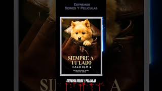 Pelicula  Hachiko 2 🐕 peliculas hachiko peliculasdrama [upl. by Ecirehs]