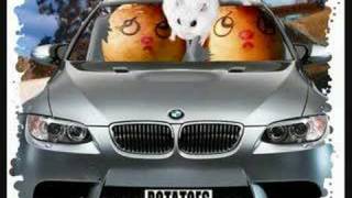 Funny hamsters  funny hamster video  Part 8 [upl. by Jecoa334]