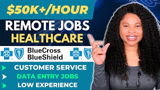 Blue Cross Blue Shield Remote Jobs Data Entry Jobs Work From Home Healthcare Customer Service [upl. by Frasier]