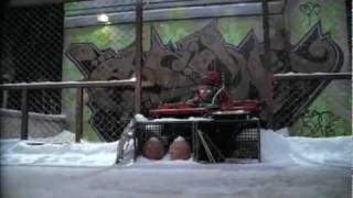 Nike Commercial  LeBron James amp Kobe Bryant Dunking On Reindeer [upl. by Ttik]