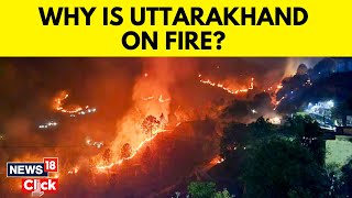 Why Are Uttarakhand Forest Fires Becoming Unmanageable How Can Wildfires Be Prevented  G18V [upl. by Karia]