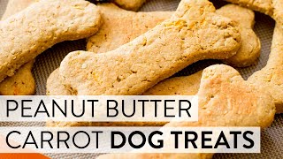 Soft Peanut Butter Carrot Dog Treats  Sallys Baking Recipes [upl. by Alleinad153]