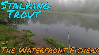 An Early Morning Walk Around The Waterfront Fishery Fly Fishing for Trout [upl. by Ttimme]