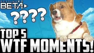 INSANE Destiny 2 Beta WTF Moments  Top 5 D2 Beta WTF Moments Of The Week Episode 3 [upl. by Lauritz]