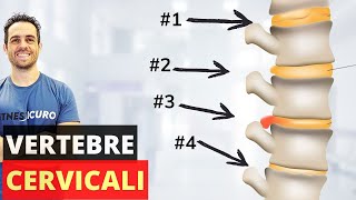 Come risolvere i PROBLEMI alle VERTEBRE CERVICALI esercizi efficacissimi [upl. by Lebasiram154]