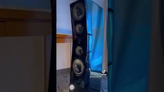 NEW SVS Ultra Evolution Pinnacle Speakers DEMO demo bass hifi stereophile audiophile stereo [upl. by Katya225]