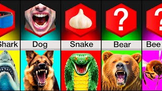 Comparison Animal Attack Survival Tips [upl. by Ettenuahs]