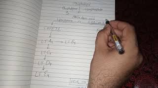 Arachidonic Acid Metabolism and Function [upl. by Weisburgh488]