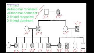 Pedigree Analysis [upl. by Lebasile]