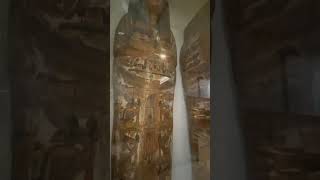 cairo museum of antiquities mummies museum [upl. by Recneps380]