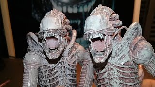 Comparison Neca 2016 Xenomorph Albino Drone Series 9 Original vs Bootleg [upl. by Ayhdiv]