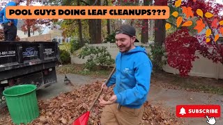 Pool Guys doing Fall Leaf Cleanups [upl. by Edieh955]