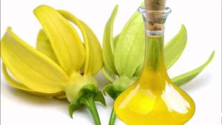 Ylang Ylang Oil Benefits [upl. by Rashidi]