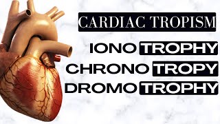 Cardiac tropism  Chronotropy vs Ionotropy vs dromotropy [upl. by Eelhsa]