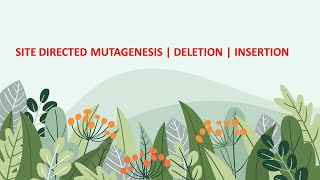 Site Directed Mutagenesis  Insertion  Deletion [upl. by Socha]