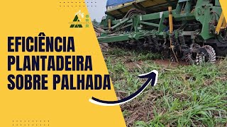 Eficiência da Plantadeira Sobre Palhada Como Ela Funciona [upl. by Orteip]