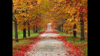 Luciano Pavarotti sings La Strada nel Bosco [upl. by Swigart]