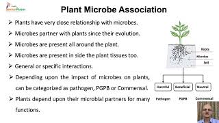 Plant Growth Promoting Bacteria I [upl. by Reinertson]