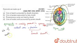 Pyrenoids are made up of [upl. by Borrell94]